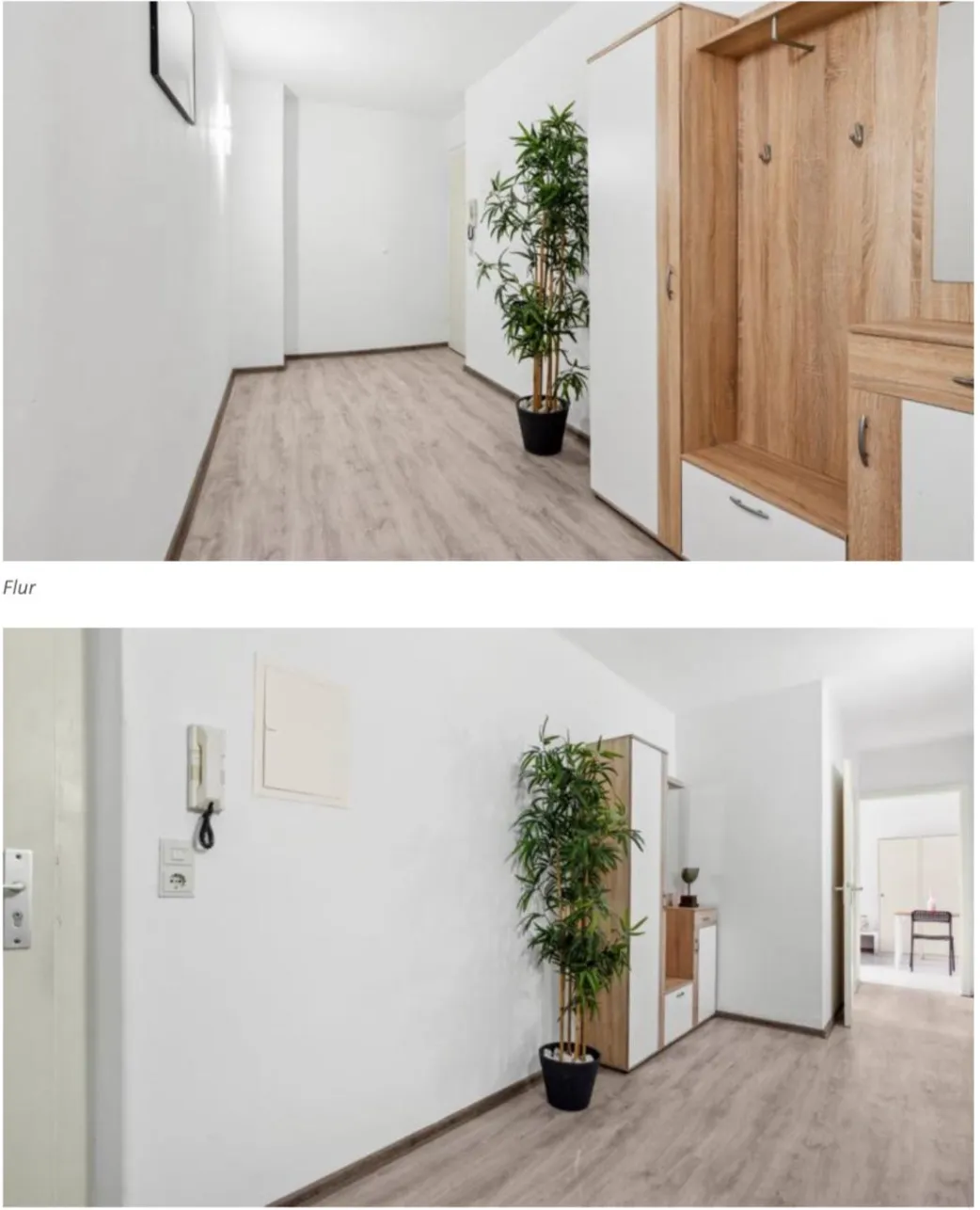 Wohnung Höchstetterstraße 12 - 1